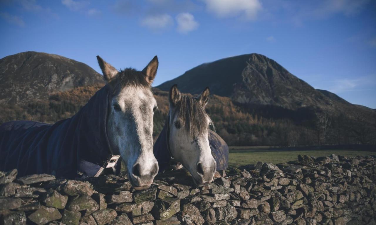 Cedar Nook Villa Loweswater Dış mekan fotoğraf